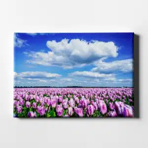 Canvasdoek Holland bloemen
