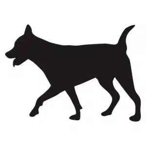 Sticker hond 10