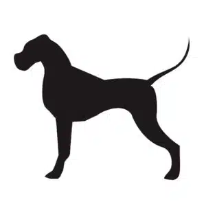 Sticker hond 3