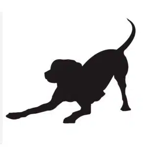 Sticker hond 5