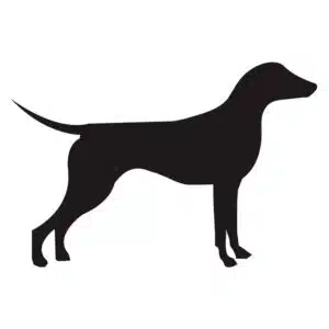 Sticker hond 6