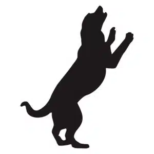 Sticker hond 9
